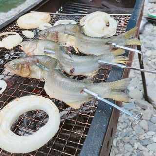 image6.jpeg